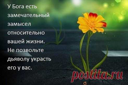 .
Сегодня Бог проснулся на рассвете,
Огромный ящик с просьбами у ног...
А рядом лишь один без просьб конвертик:
«Благодарю за всё тебя, мой Бог...» 

Ирина Самарина-Лабиринт.

(В этой группе очень много разных трогательных и интересных историй из жизни людей, реальные свидетельства, все лучшее для вас! Вступайте в группу "Вечное живое слово" и приглашайте в нее своих друзей!) Здесь ссылка в группу http://www.odnoklassniki.ru/svidetelstvo1
•••
