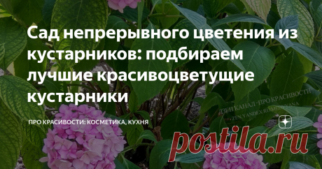 Сад непрерывного цветения из кустарников: подбираем лучшие красивоцветущие кустарники Можно назвать три основные причины, почему в создании декоративного сада предпочтение отдается цветущим кустарникам.
Первая — это возможность подобрать растения с разными периодами цветения, благодаря чему оно будет непрерывным.
Вторая – разнообразие видов позволяет использовать их в разных назначениях: зонирование участка, создание живой изгороди, бордюра вдоль садовой дорожки или фона для