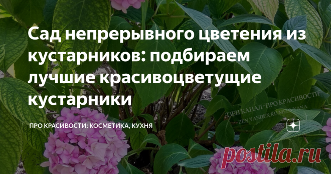 Сад непрерывного цветения из кустарников: подбираем лучшие красивоцветущие кустарники Можно назвать три основные причины, почему в создании декоративного сада предпочтение отдается цветущим кустарникам.
Первая — это возможность подобрать растения с разными периодами цветения, благодаря чему оно будет непрерывным.
Вторая – разнообразие видов позволяет использовать их в разных назначениях: зонирование участка, создание живой изгороди, бордюра вдоль садовой дорожки или фона для