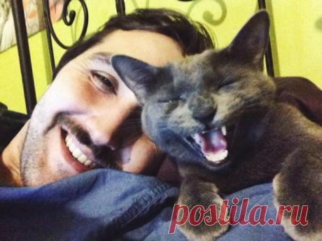 Эти очаровательные котики поднимут вам настроение!