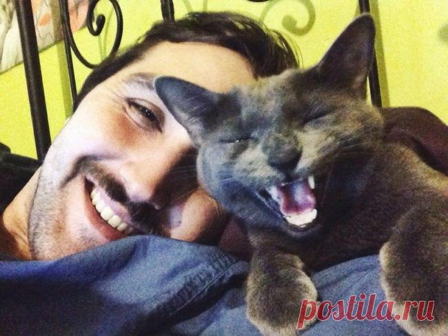 Эти очаровательные котики поднимут вам настроение!