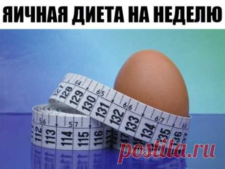 Знаете ли вы, что продуманная до мелочей система питания поможет быстро похудеть на 10 кг всего лишь за 2 недели. Этот метод похудения идеален – если нужно срочно похудеть! Не используй его дольше – может быть сильная потеря веса 
На такой диете не придется голодать: яйца и правда очень сытный продукт.
 Ознакомься с этим меню, тебе наверняка захочется похудеть при помощи данных продуктов… 
Отказавшись от углеводов, ты сможешь быстро подкорректировать свой вес. 
Кроме того, благодаря этому пита