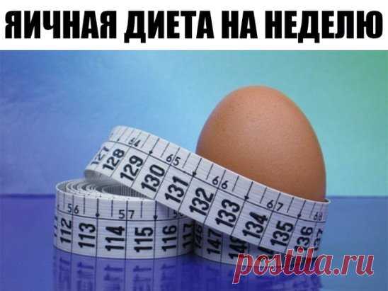 Знаете ли вы, что продуманная до мелочей система питания поможет быстро похудеть на 10 кг всего лишь за 2 недели. Этот метод похудения идеален – если нужно срочно похудеть! Не используй его дольше – может быть сильная потеря веса 
На такой диете не придется голодать: яйца и правда очень сытный продукт.
 Ознакомься с этим меню, тебе наверняка захочется похудеть при помощи данных продуктов… 
Отказавшись от углеводов, ты сможешь быстро подкорректировать свой вес. 
Кроме того, благодаря этому пита