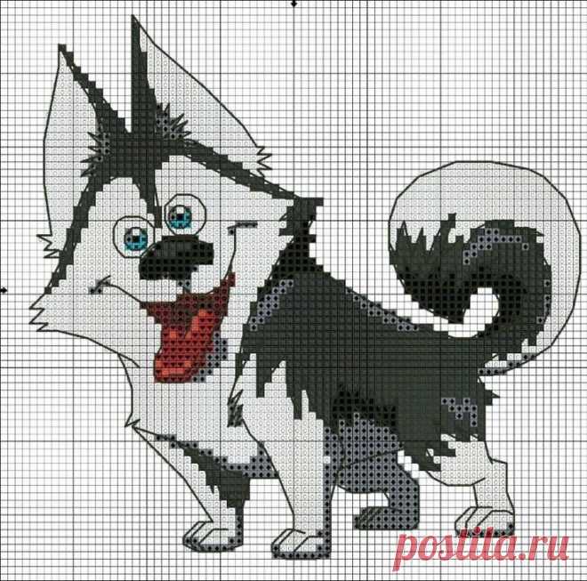 Изображение пина-истории