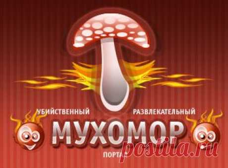 Про медведицу Машку