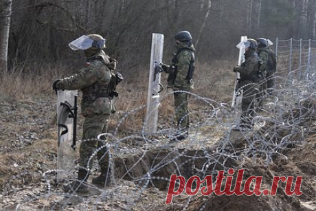 В Белоруссии назвали угрозу из-за построенного Польшей забора на границе. Забор, построенный Польшей на границе с Белоруссией, угрожает существованию европейских зубров. Об этом заявил белорусский МИД. «Действия Польши по возведению забора на границе с Беларусью повторно ставят под угрозу существование европейского зубра», — сказано в заявлении.