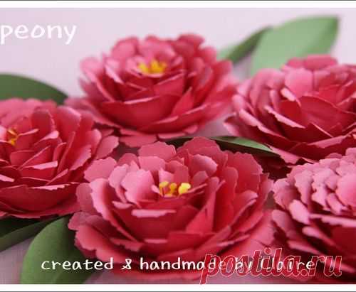 Пионы из бумаги. Мастер-класс