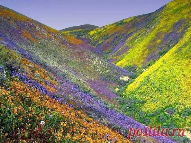 Фото Без названия. Альбом Что нового - 468 фото. Фотографии Замир Акимов.