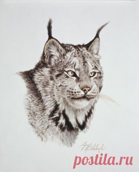 Кошачьи портреты Гая Коэлича - Искусство животных Гая Коэлича