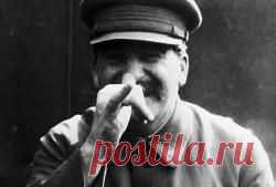(+1) тема - Народные средства для чистки кожаных изделий | Полезные советы