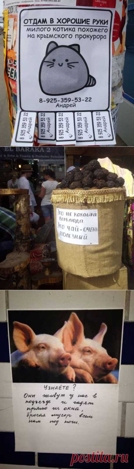 Лучшее народное творчество марта