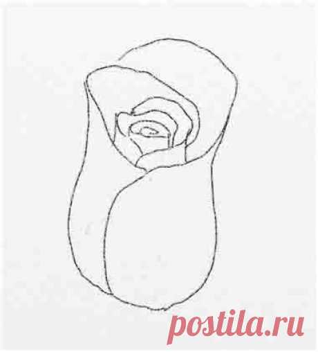 Урок рисования акварелью. Как нарисовать розу поэтапно.