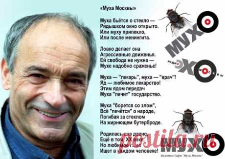 huge.jpeg (548×388)