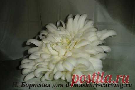Хризантема из пекинской капусты