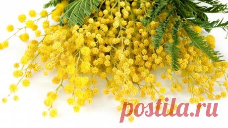 красивые картинки | Записи в рубрике красивые картинки | Дневник ovenvas