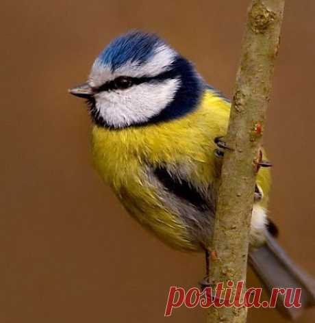 Природа.