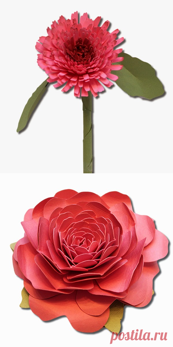Бумажкам: 3D календулы, камелии и душистого горошка бумажные цветы!