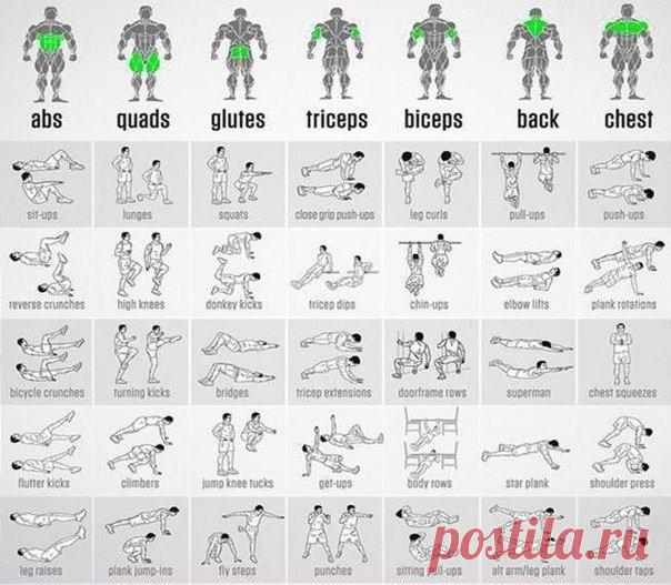 Упражнения на все группы мышц! / Взлом логики