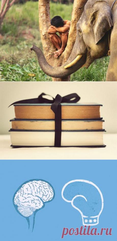 Эволюция мозга