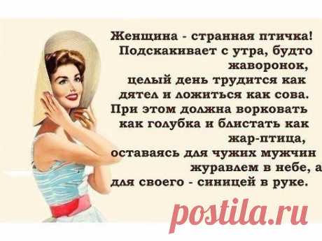 no comments