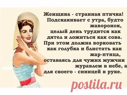 no comments