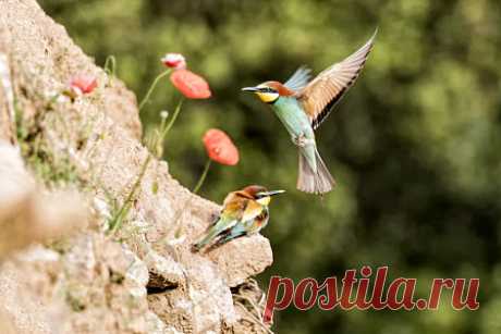 Новые фотографии на 500px