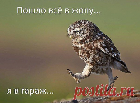 )ł(υʒήь υґթά ήε πթσυґթάմ ćεδя
Россия, От А(да) до (ра)Я