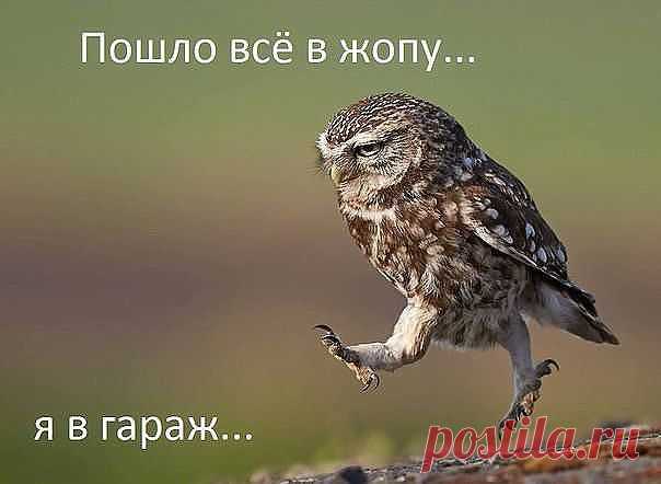 )ł(υʒήь υґթά ήε πթσυґթάմ ćεδя
Россия, От А(да) до (ра)Я