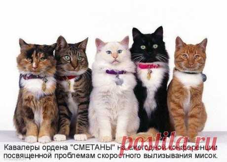 (21) Facebook