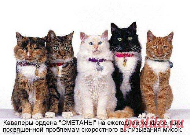 (21) Facebook