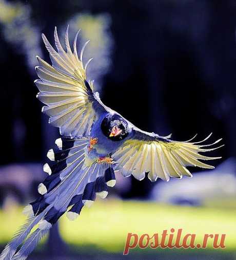 MikhaiL Liakhovskiy – Google+