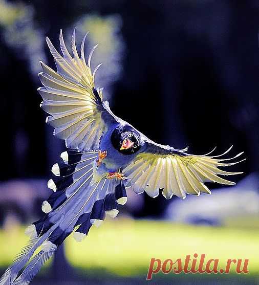 MikhaiL Liakhovskiy – Google+