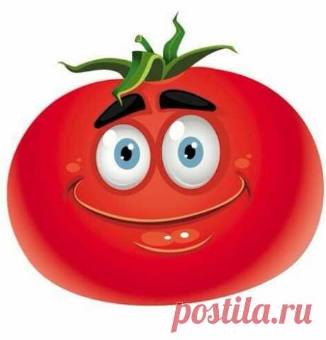 (14) Одноклассники
