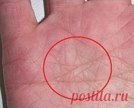 Как распознать Ведьму. | ⚜Ведьмины заметки⚜ | Дзен