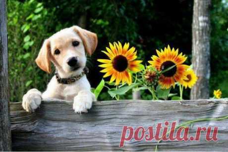 Мой Мир@Mail.Ru