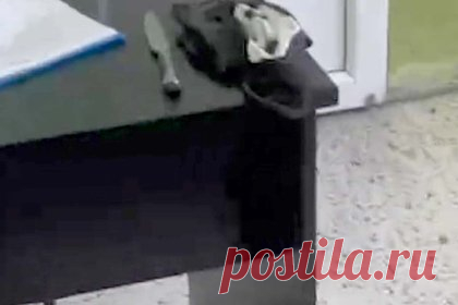 Мать архангельского экс-студента раскрыла детали его подготовки к резне в техникуме