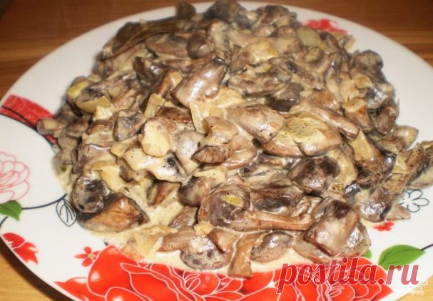 Вешенки жареные с луком и сметаной - пошаговый рецепт с фото на Повар.ру
