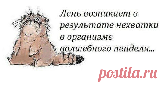 (3) Одноклассники