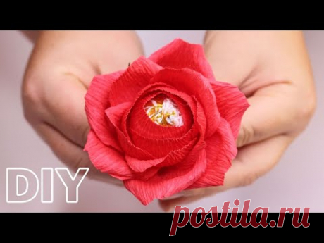 Роза с конфетой из гофрированной бумаги / Пошаговый мастер класс / DIY Crepe Paper Rose - YouTube

Сегодня покажу вам как сделать розу из бумаги с конфетой внутри.