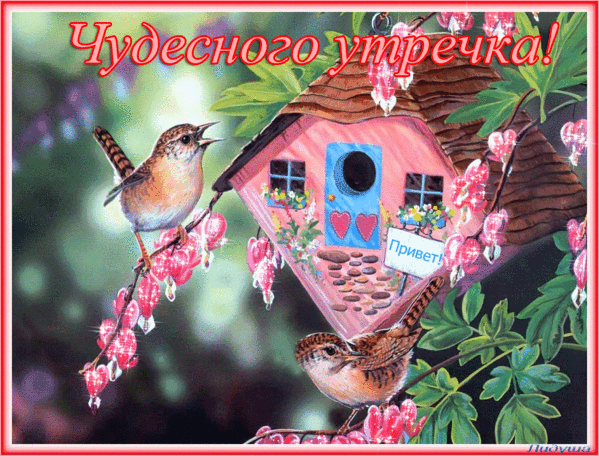 Чудесного настроения!!!