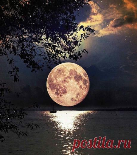 Google+