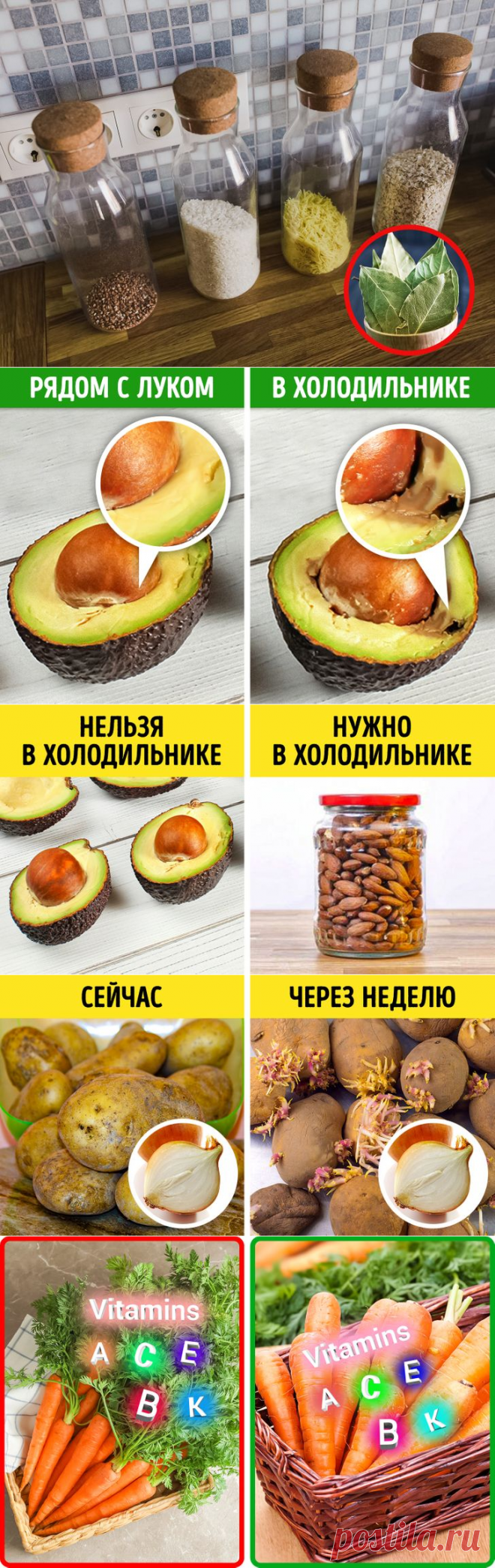 15 простых способов сохранить продукты свежими и перестать бесконечно их выбрасывать | Болтай