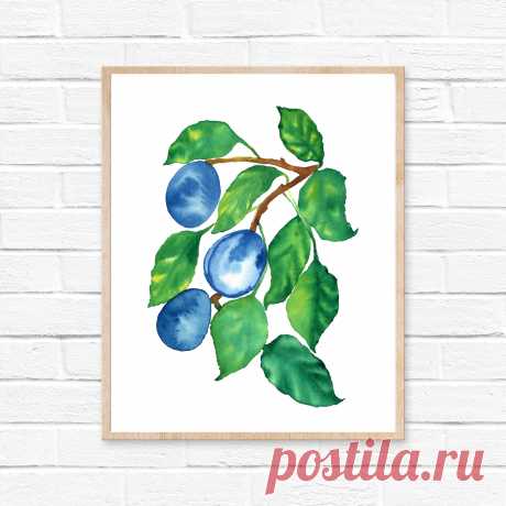 Plums Prunes Watercolor Print Kitchen Wall Decor Fruit