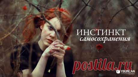 Психология статья &quot;Инстинкт самосохранения&quot;