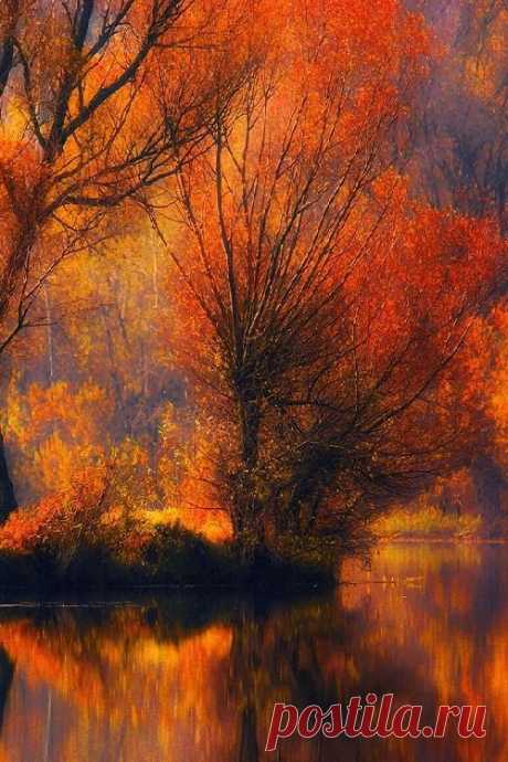 Lori Rich приколол(а) это к доске falling for autumn's beauty