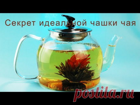 Секрет идеальной чашки чая…
А Вы знаете, в какой стране выпивают больше всего чая? 
А Вы уверены, что умеете правильно заваривать чай? 
Эти и другие секреты вы узнаете из нашего познавательного видео😍