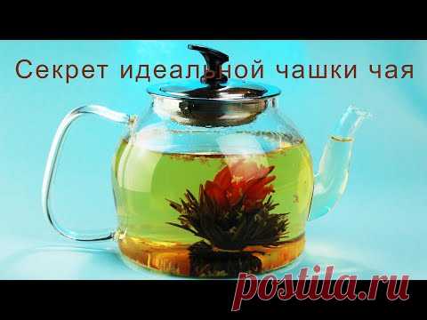 Секрет идеальной чашки чая…
А Вы знаете, в какой стране выпивают больше всего чая? 
А Вы уверены, что умеете правильно заваривать чай? 
Эти и другие секреты вы узнаете из нашего познавательного видео😍