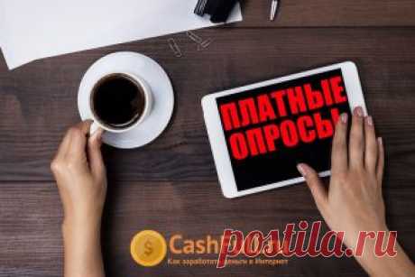 Платные опросы за деньги для всех - в статье представлен рейтинг ТОП-10 самых лучших и надежных сайтов платных опросов в Интернет. Регистрируйся и приступай к заработку прямо сейчас!
