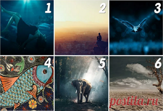 Выберите изображение, чтобы узнать, какую миссию приготовила для вас судьба | Скиталец | Яндекс Дзен