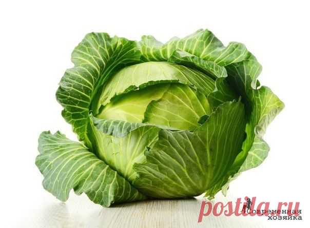 От кашля - лист капусты на грудь
It's done ✔ Готово! - Полезные идеи